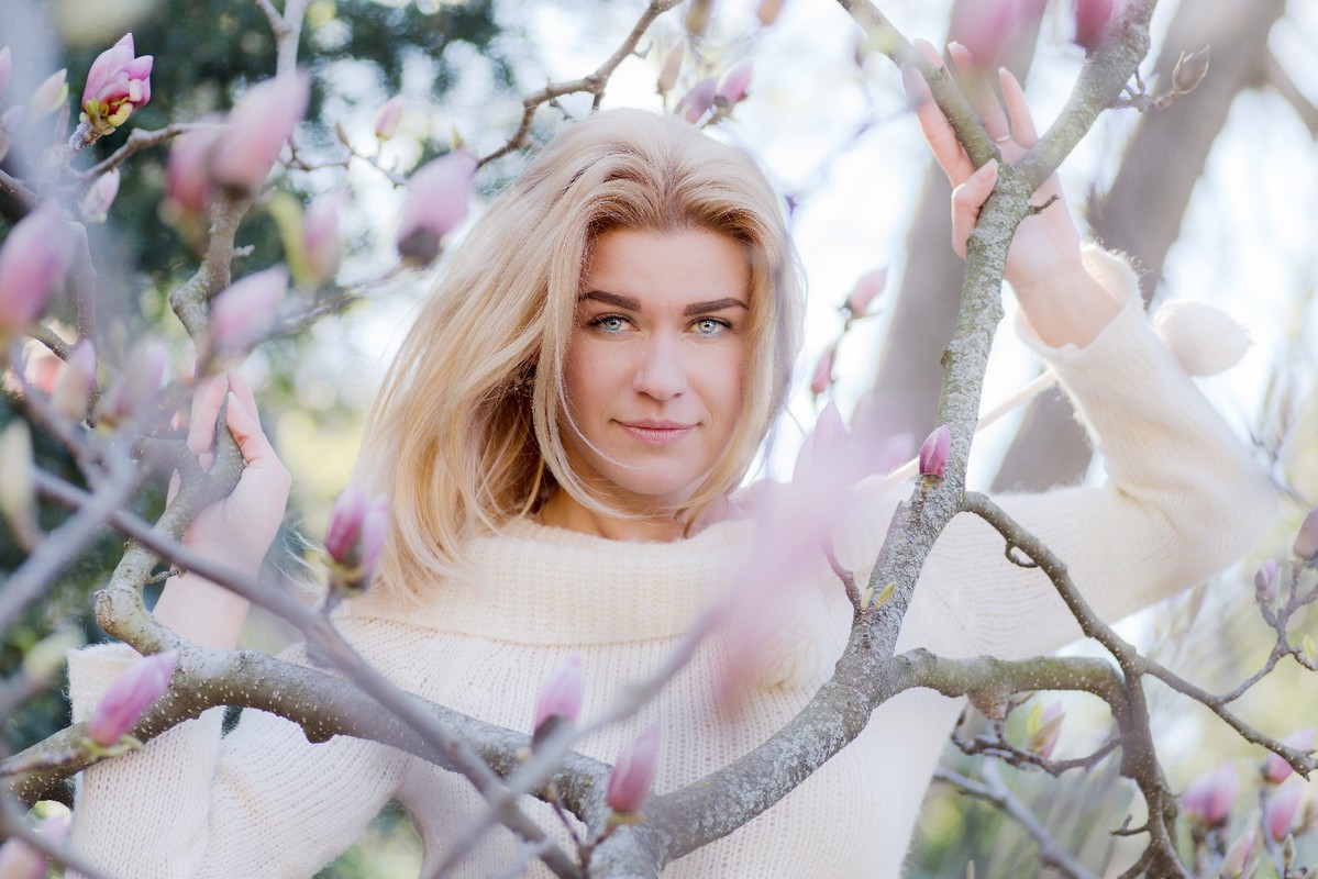 Розквітла магнолія