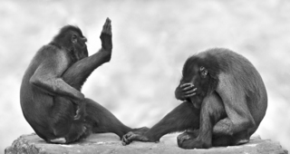 Ik wil het niet zien in ZwW