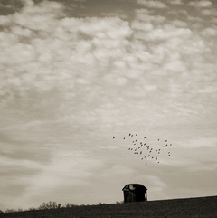 Маленька пікторіальна історія_1