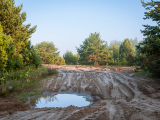 Пейзаж полігону