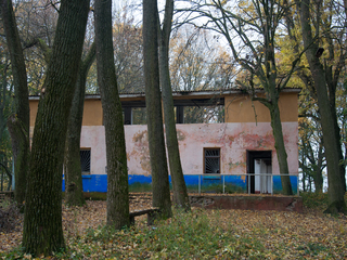 Ще жива історія