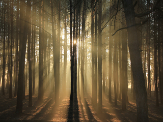 Подих весни 2.7