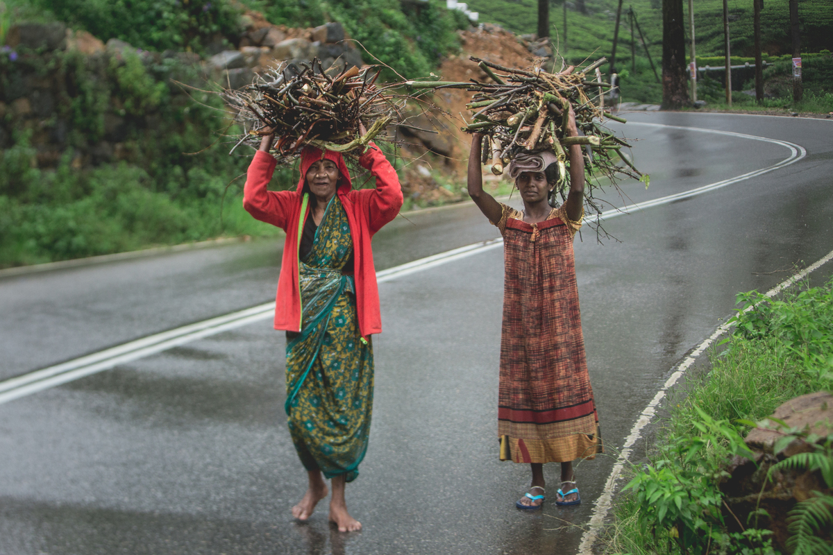 Собиратели хвороста