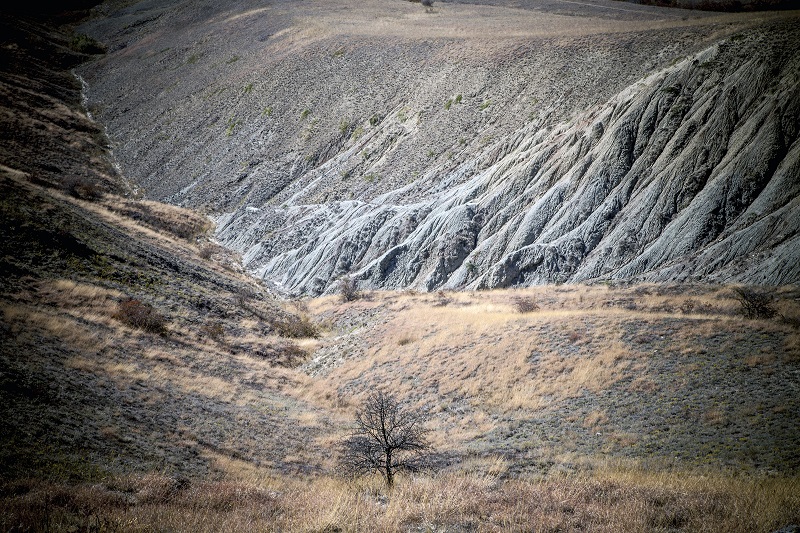 одиночество