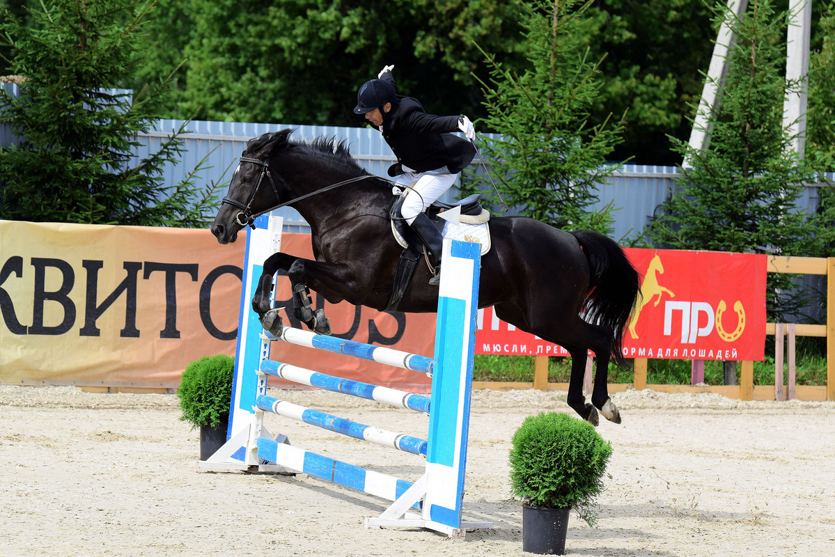 Чувство полёта