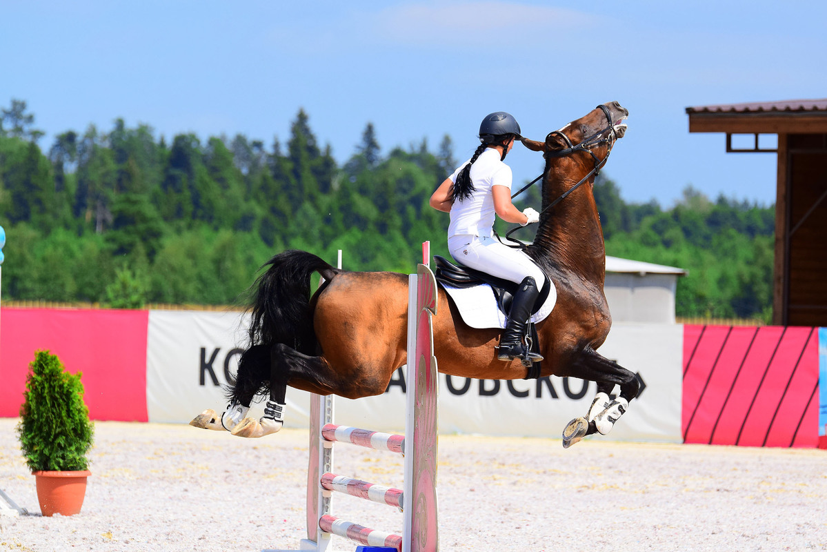 Полёт в никуда 