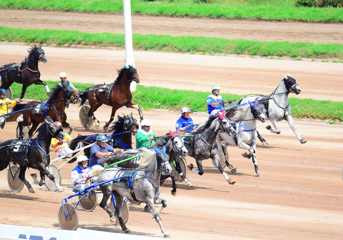 Рысаки рвутся в бой