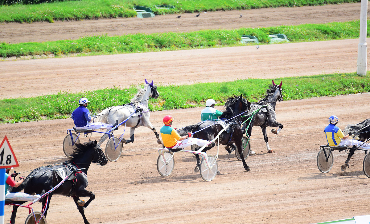 Попробуй, догони!