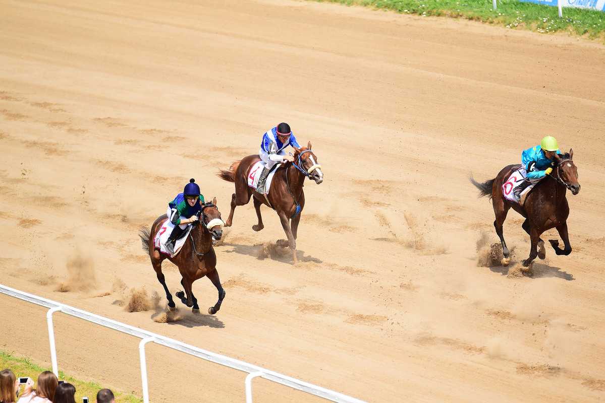 Вперёд к победе