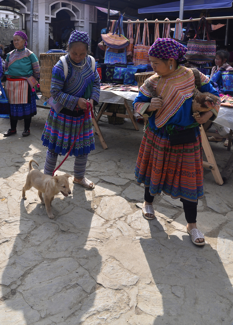 Come back from ma market