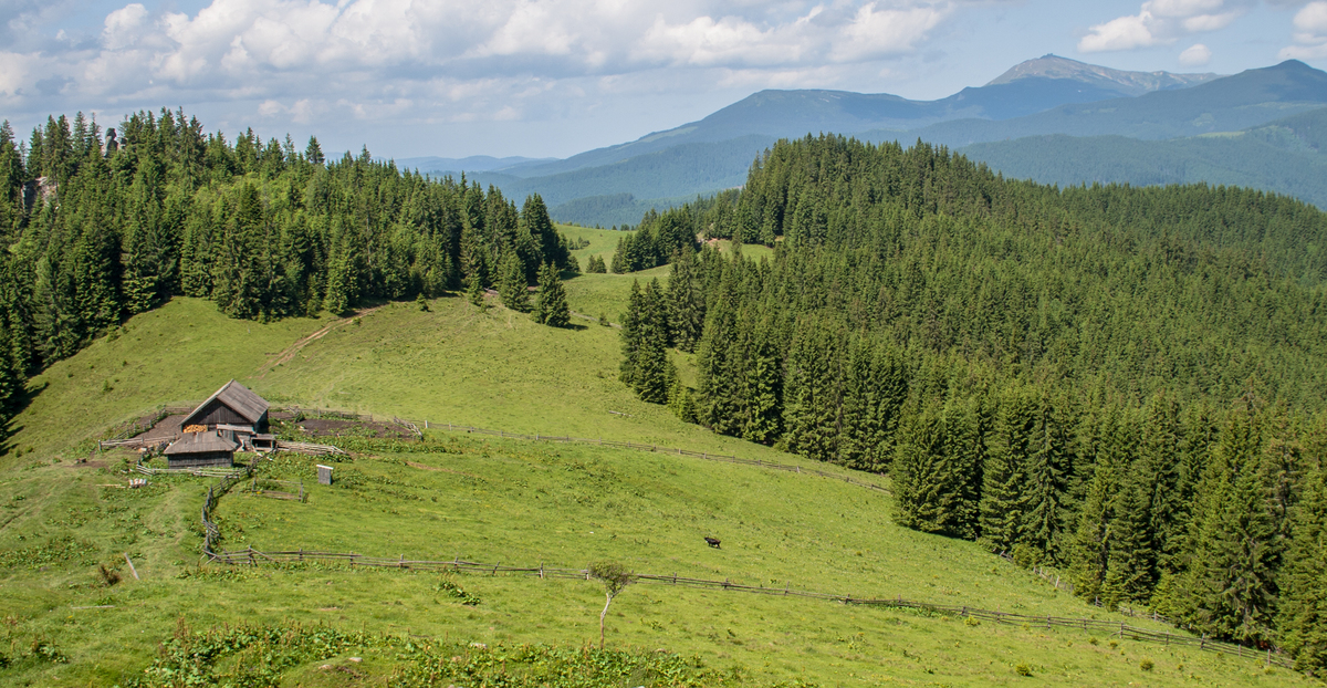 Угорська  полонина.