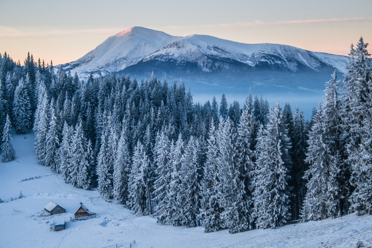 Ранковий  Петрос.