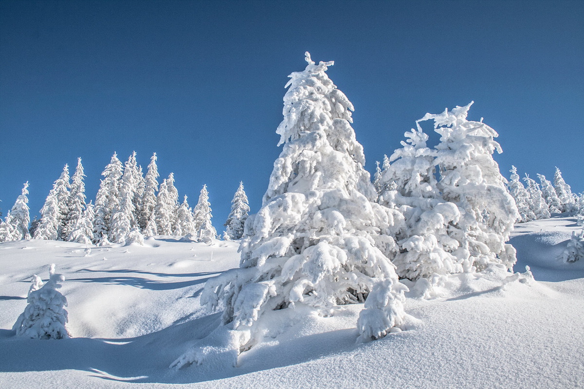 Карпатська  зима.