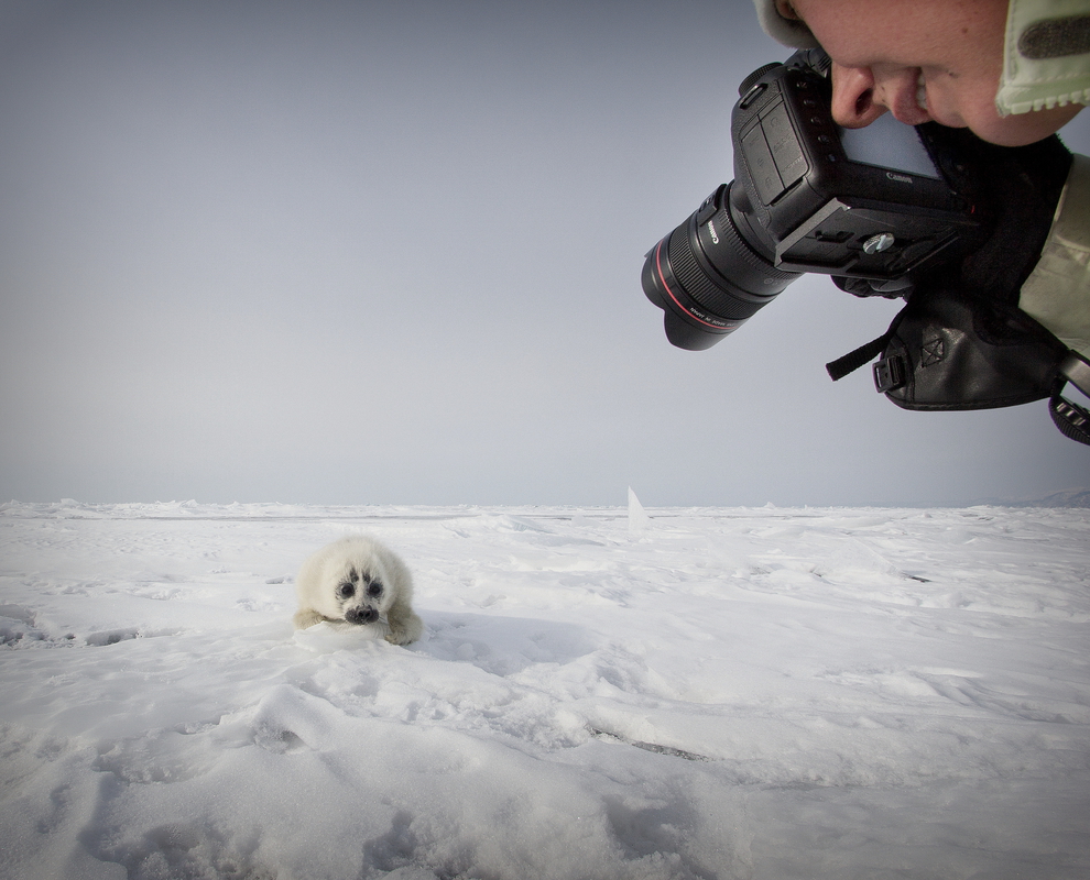 Кумай в объективе
