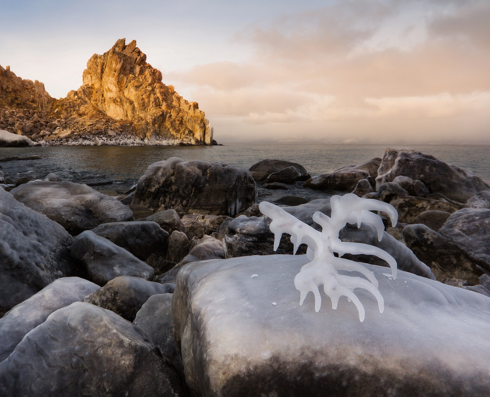 Байкальский ледяной коралл