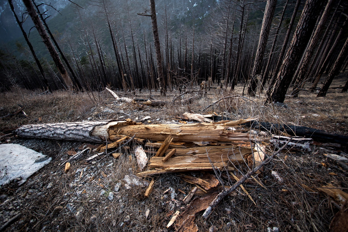 После пожара