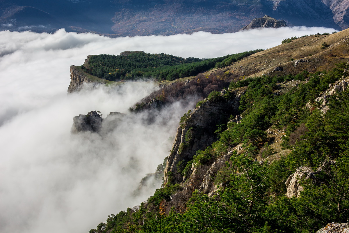 Туман на Демерджи 1