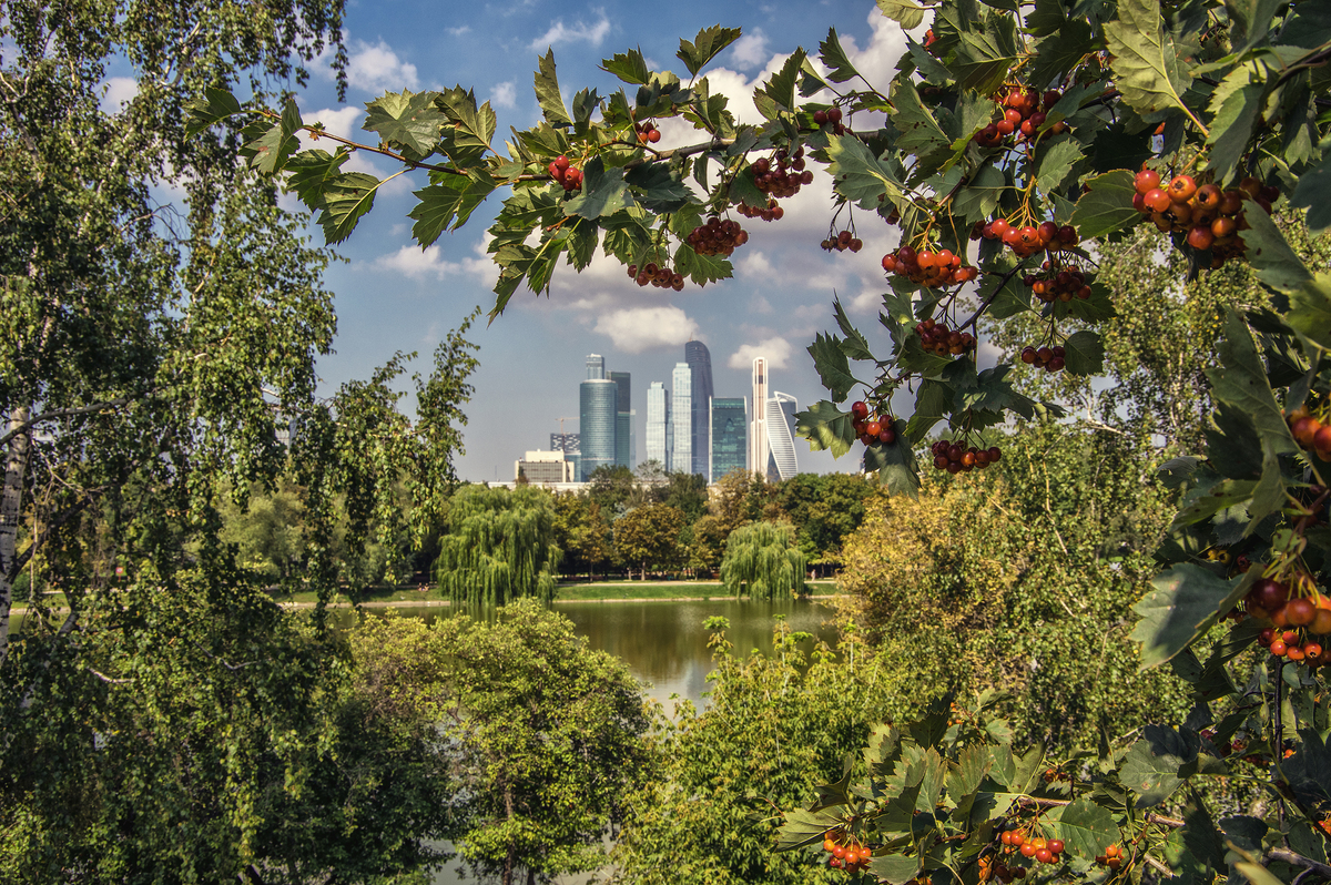 Московская сага