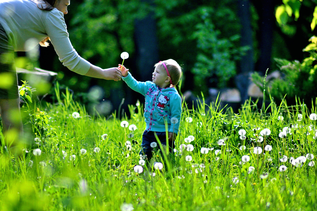Вітаємо!Ви пізнаєте світ!