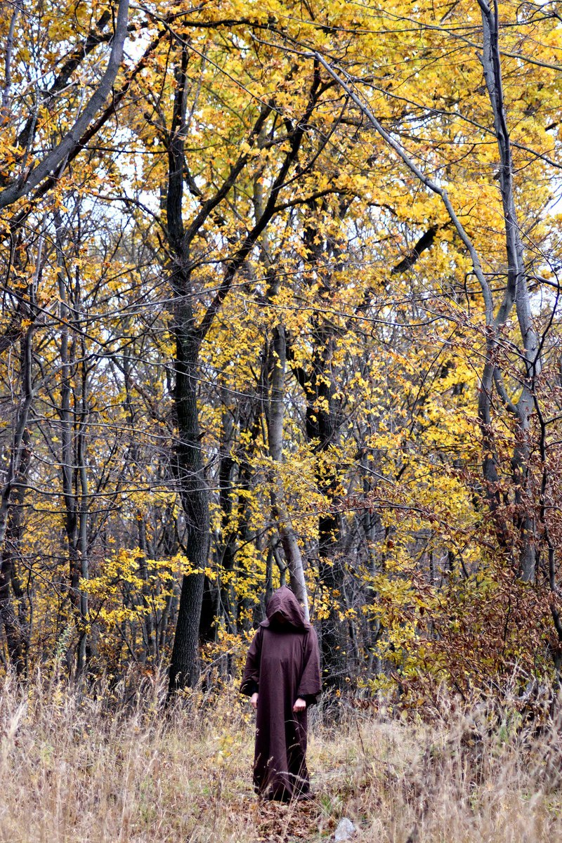 Лише частинка реальності