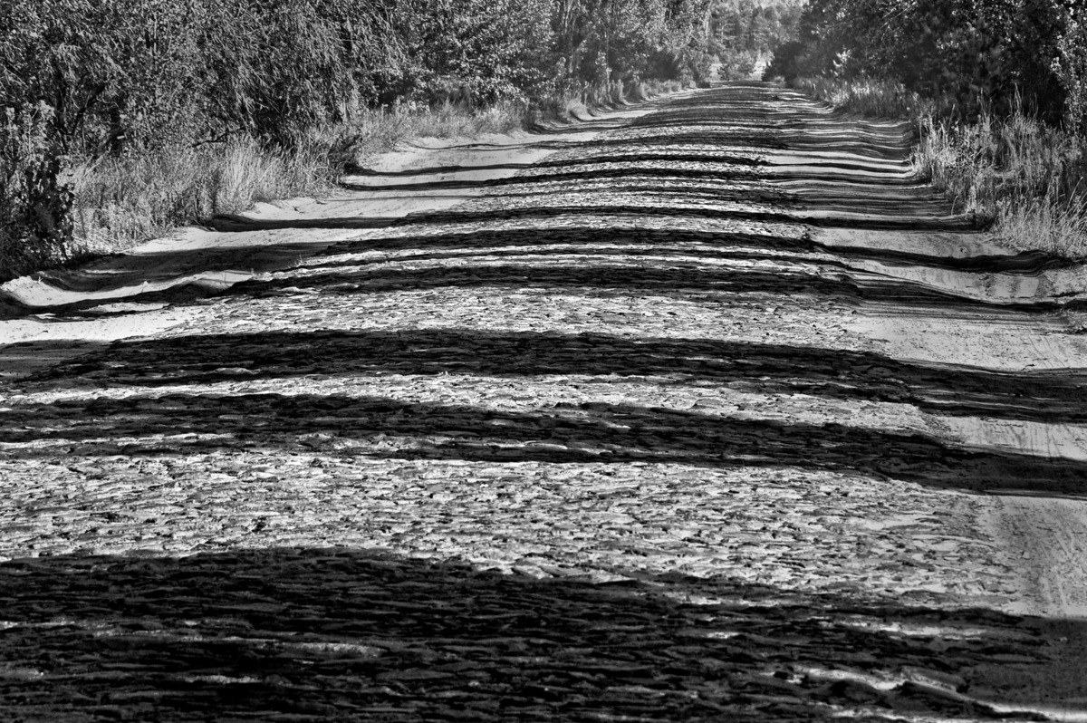 Життєва дорога