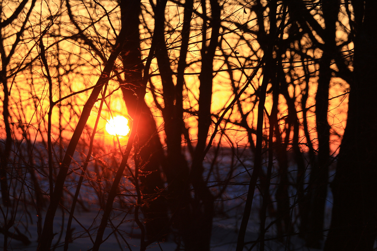крізь тернії до сонця