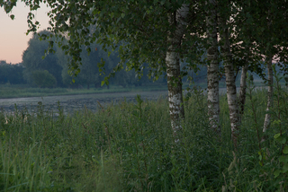 На світанні