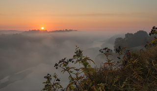 Туманним ранком