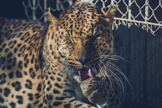 После обеда