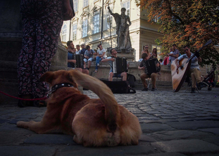 Вуличний концерт