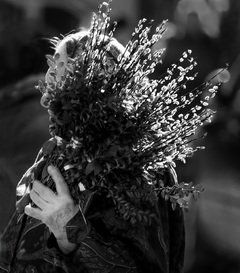 Вербна неділя