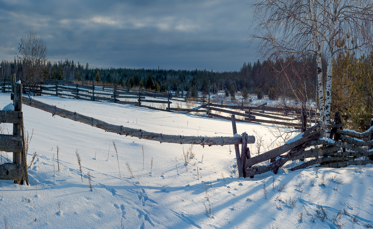 Сплива зимовий день