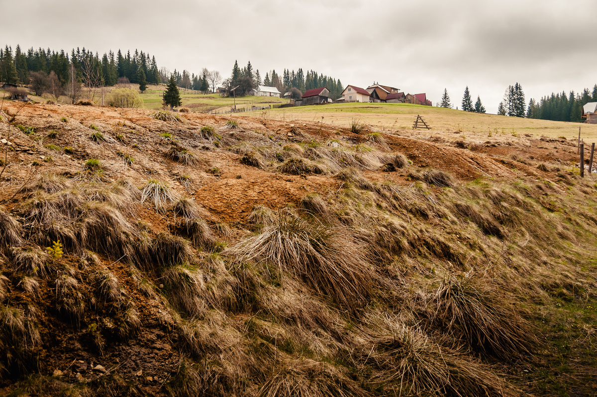 Карпати. Волохаті схили.