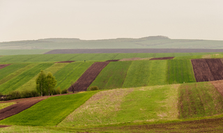 Український печворк