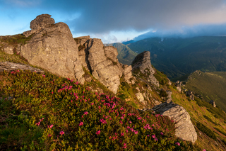 Скелі ''Вухатого каменя''