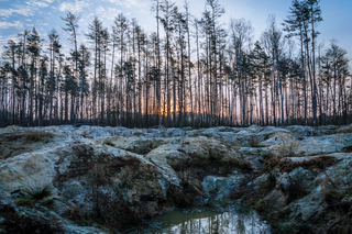 Тут був бурштин