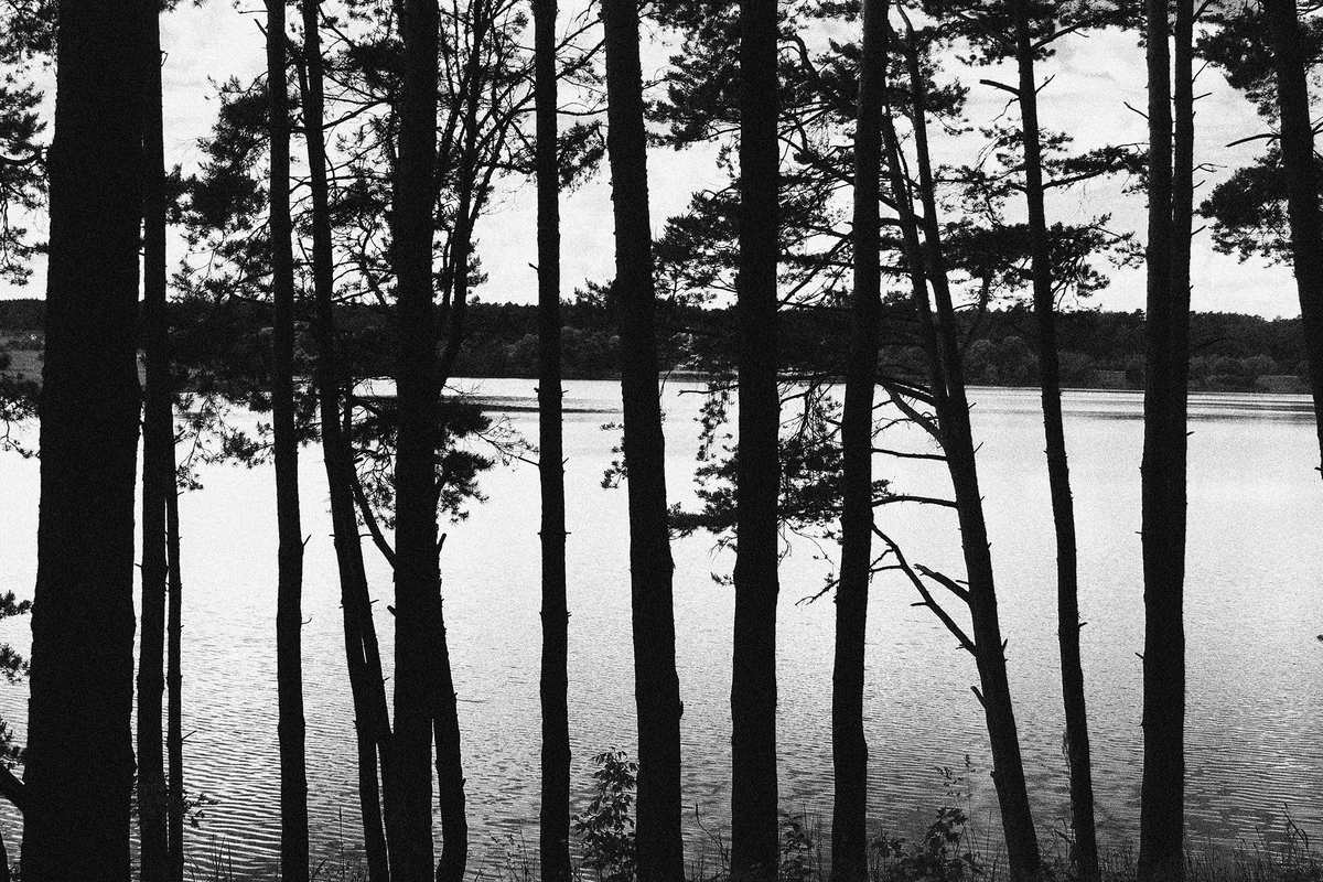 Горизонталі й вертиалі