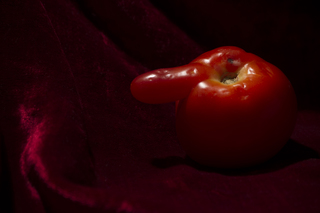 Помідор -2
