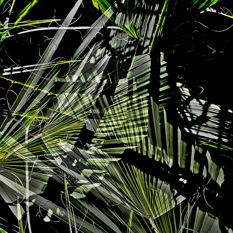 Зеленее зеленого