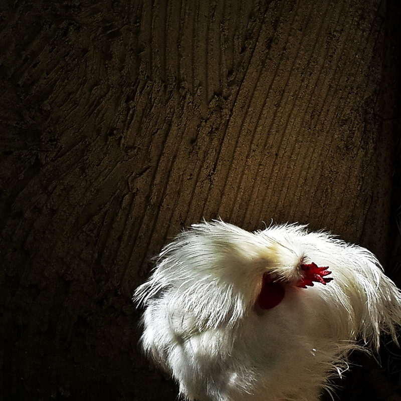 Фигура и фон