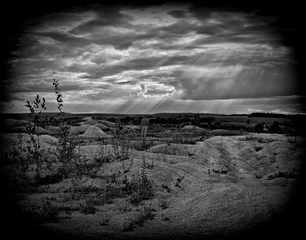 После дождя