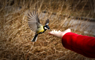 Проголодалась