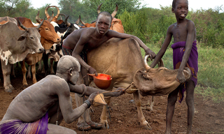Ritual of taking blood
