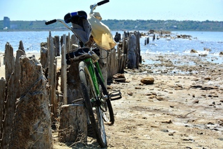 Свежий ветер