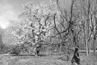 Пробуждение...