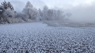 Поліська зима