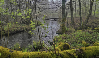 Полісся містичне
