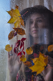 Жовтневий дощ