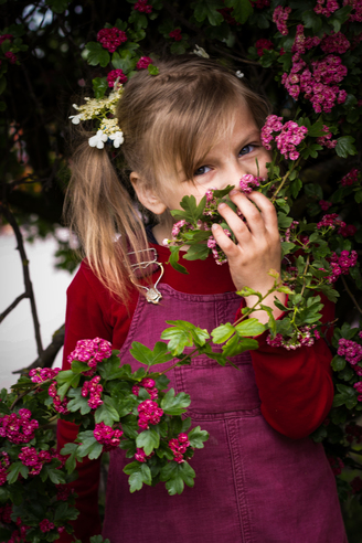 солодкий аромат квітів