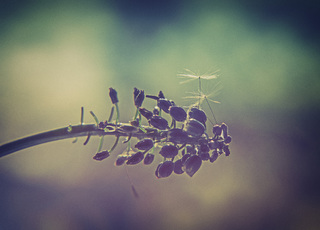 посадочная площадка